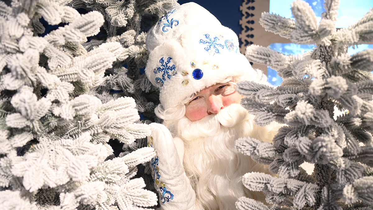 Дед Мороз попросил детей не слать ему письма через морозилку c43953df-fa26-46ba-a861-155949d7f5fa-67c20051