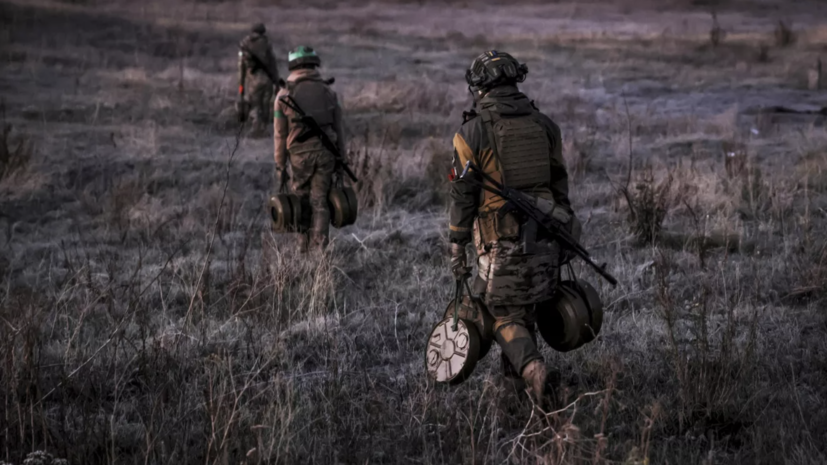 Коалиция по разминированию готовит масштабную операцию: семь элитных батальонов ВСУ появятся в ближайшее время f1240c5a-4e8b-499d-9d39-fd32e400c8a3-67bc8a42