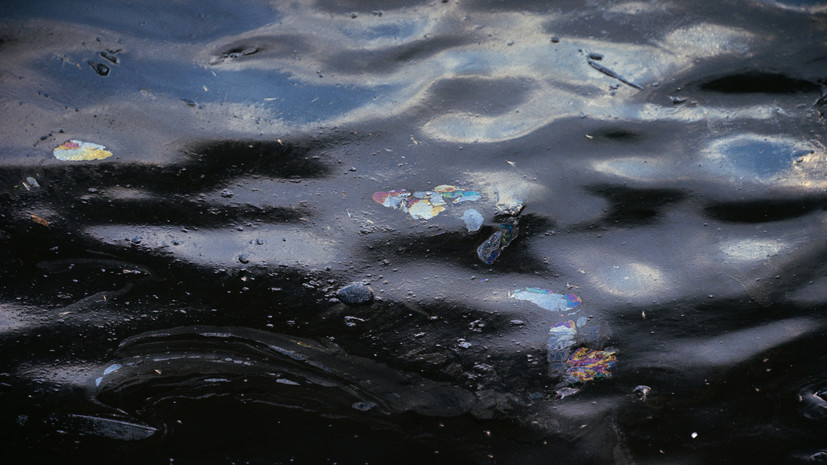 Эколог рассказал о мерах по восстановлению экосистемы после разлива нефти на черноморском побережье f14c77ba-dcd9-4c12-a596-aa35beb0f8f0-67b5bea3