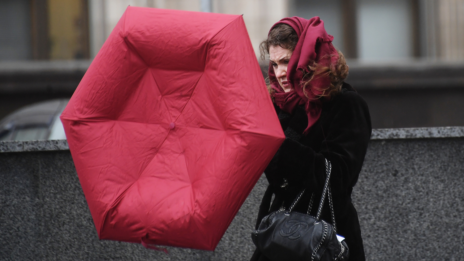 Зимняя погода удивляет: климатические особенности в разных регионах России Ветреная погода в Москве