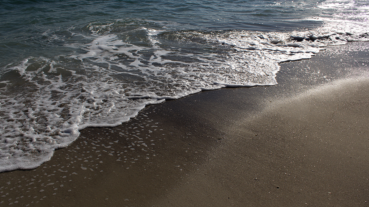 Молебны об очищении Черного моря от мазута прошли в России SeaWaterWavesOnSandySummerBeachIntoSunLight