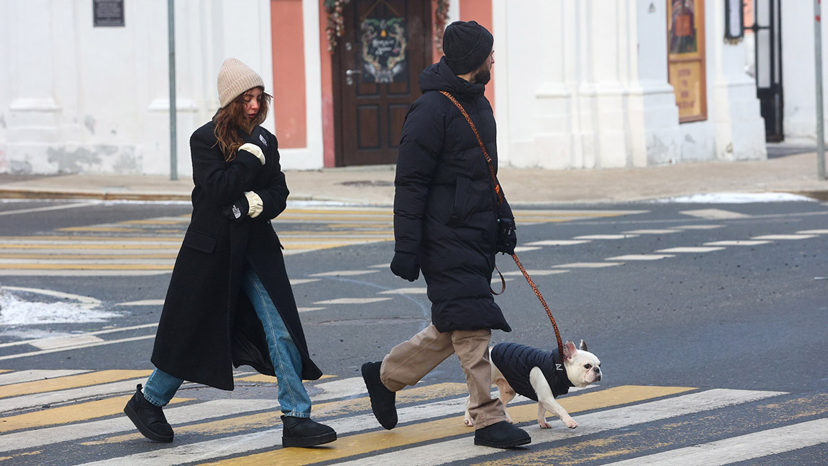 Долгожданная зима порадует москвичей настоящими морозами Морозная погода в Москве
