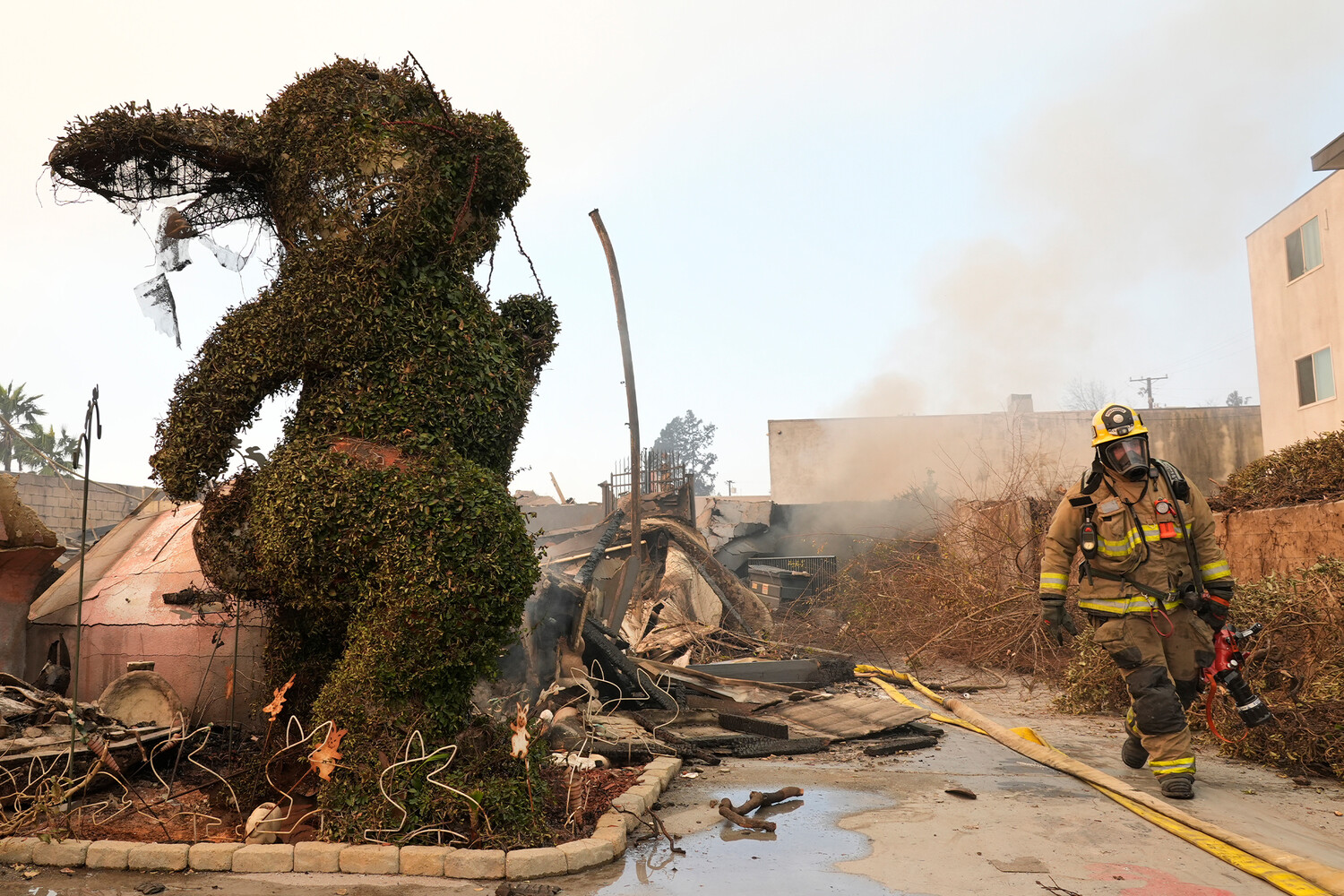 Уникальный музей кроликов пострадал от стихии, но обещает возродиться ff401bc8-4a73-4abd-8b8c-ea7d392db0c7-67d433aa