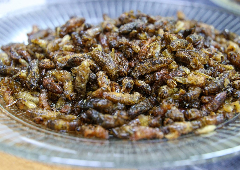 Россиянам напомнили, что они уже давно едят жуков