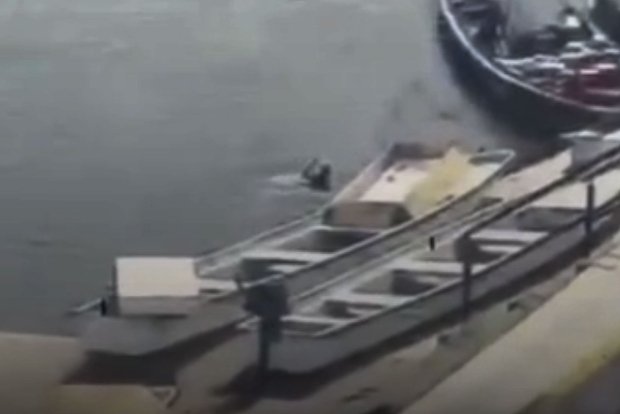 Трагический случай в Боготе показал важность осторожного обращения с дикими насекомыми 41908fa9-8745-48b9-ac6b-0b8f10ac5a8c-67f8b754