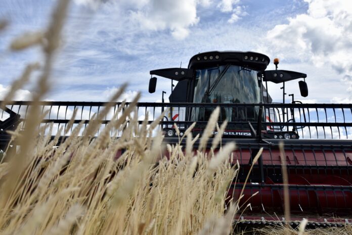 Средний Урал готовится увеличить сельхозплощади на 10 тысяч гектаров к 2025 году 4931f1da-9ae5-4cf8-9bfd-7442b53f7e35-67fd3820