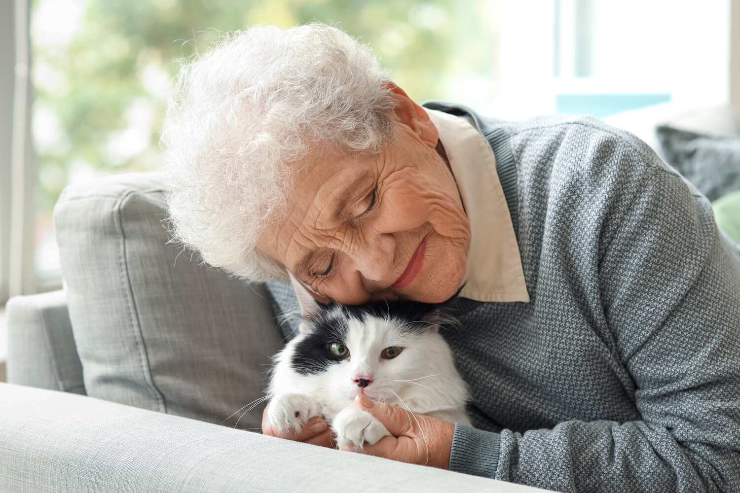 Наука раскрывает секреты кошачьей привязанности к человеку d42c08fb-d007-4001-aeda-2b1da3e6dd79-680044fe