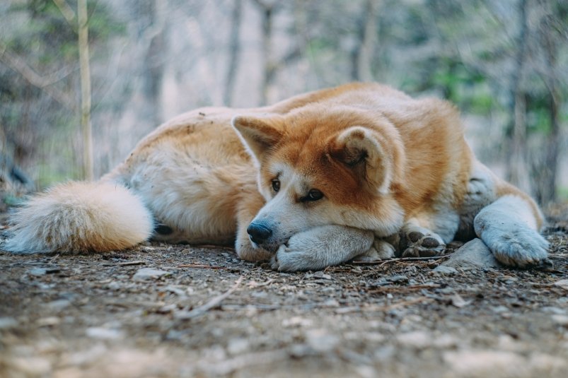 Фото: primamedia.ru