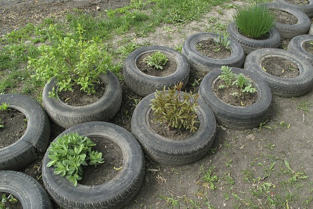 Растения, которые лучше не выращивать возле дома ebdd2200-6662-4bff-9a26-392d9ae17cf2-68024adb