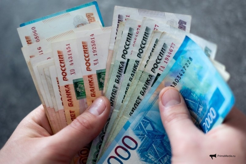 Новые экономические реалии в Приморье: где найти выгоду в 2025 году? novye ekonomicheskie realii v primore gde najti vygodu v 2025 godu-fabrec-ru-174062235200-0