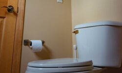 autoimmunnyj tireoidit i zdorove shhitovidnoj zhelezy kak klyuch k resheniyu zaporov-fabrec-ru-174344134700-0