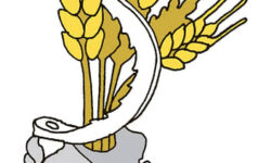 Черноморская зерновая инициатива и давление на рынок пшеницы после переговоров США и России chernomorskaya zernovaya inicziativa i davlenie na rynok psheniczy posle peregovorov ssha i rossii-fabrec-ru-174304891500-0