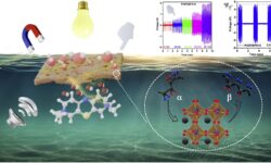 Инновационный материал на основе феррита висмута создан при поддержке РНФ учеными Дагестанского университета innovaczionnyj material na osnove ferrita vismuta sozdan pri podderzhke rnf uchenymi dagestanskogo universiteta-fabrec-ru-174315418700-0