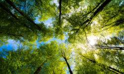 Краснодарский край и Вениамин Кондратьев обустроили 1500 зон krasnodarskij kraj i veniamin kondratev obustroili 1500 zon-fabrec-ru-174301967500-0