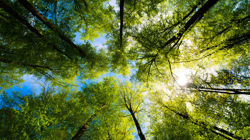 В Краснодарском крае благоустроили 1,5 тысячи зелёных зон за восемь лет