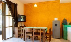 Марина Ершова из России делится яркими впечатлениями о путешествии в солнечную Мексику marina ershova iz rossii delitsya yarkimi vpechatleniyami o puteshestvii v solnechnuyu meksiku-fabrec-ru-174235292200-0