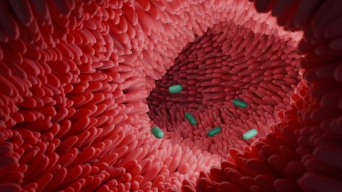 Микробиом как ключ к здоровью кишечника mikrobiom kak klyuch k zdorovyu kishechnika-fabrec-ru-174174480300-0