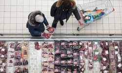 МВФ отмечает стабильность ВВП РФ и прогнозирует динамику инфляции mvf otmechaet stabilnost vvp rf i prognoziruet dinamiku inflyaczii-fabrec-ru-174309429800-0