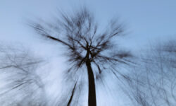 Объединенные усилия в Калининском округе для установления истины ГМЗ ЦарицыноОрехово-Борисово Севе