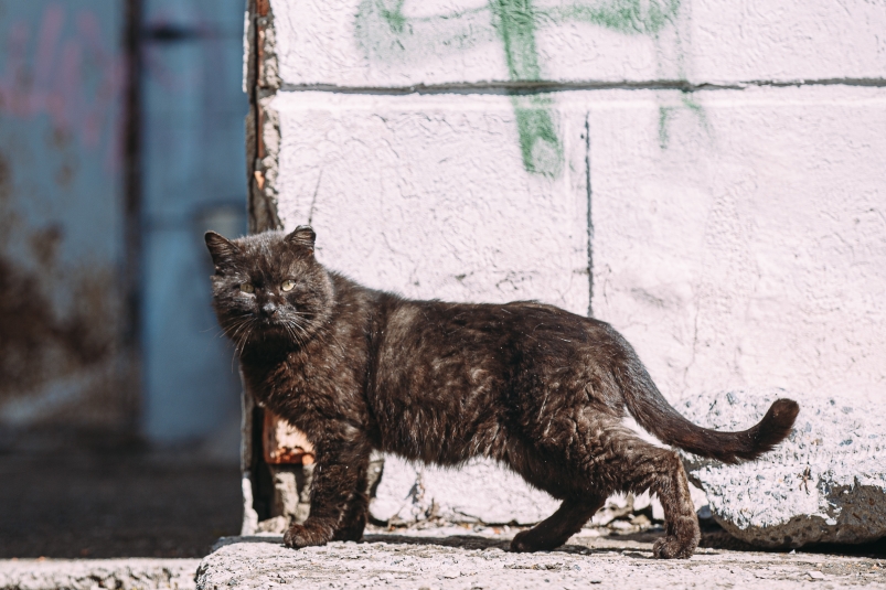 Приморье радует жителей весенним теплом primore raduet zhitelej vesennim teplom-fabrec-ru-174101325200-0