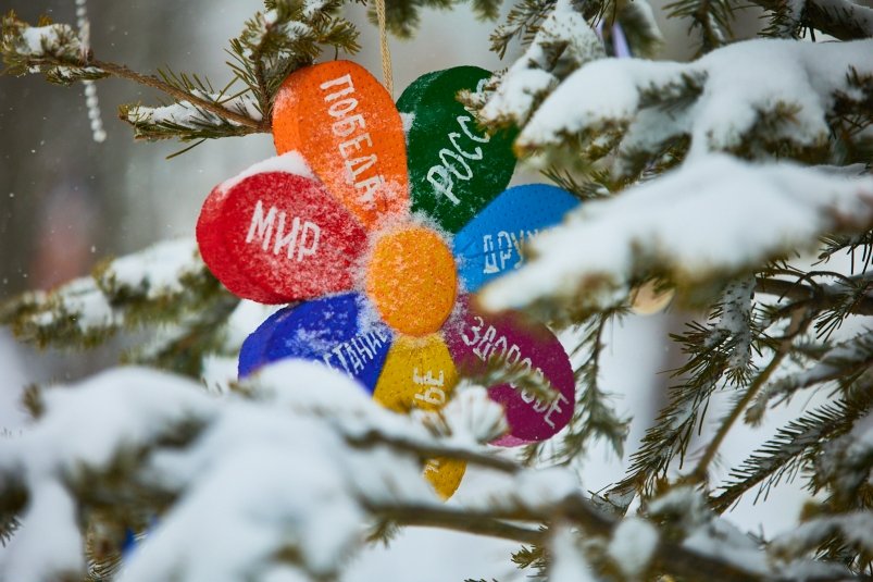 Прогноз погоды на выходные в Приморье снег и умеренное похолодание prognoz pogody na vyhodnye v primore sneg i umerennoe poholodanie-fabrec-ru-174188361500-0