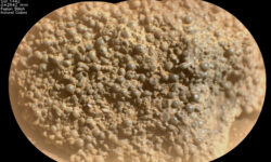 Perseverance раскрывает загадку Марса с уникальными сферами у Witch Hazel Hill raskryvaet zagadku marsa s unikalnymi sferami u -fabrec-ru-174284912700-0