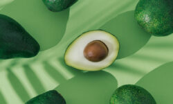Роман Пристанский рекомендует авокадо как полезный продукт для здоровья и энергии FruitPatternMadeOfAvocadoWithPalmLeavesShadowOn