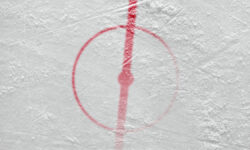 Росгвардия оперативно пресекла дебош на хоккейном матче в Электростали для комфорта зрителей FragmentOfIceHockeyRinkWithACentralCircleConcept