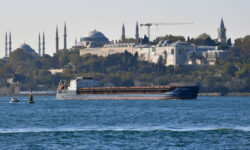 Российская пшеница открывает новые перспективы для экспорта в Турцию и другие страны rossijskaya pshenicza otkryvaet novye perspektivy dlya eksporta v turcziyu i drugie strany-fabrec-ru-174241314800-0