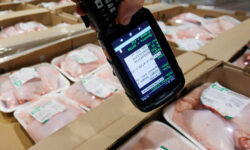 Рынок курятины России демонстрирует рост по данным Минсельхоза и NTech rynok kuryatiny rossii demonstriruet rost po dannym minselhoza i -fabrec-ru-174253408400-0