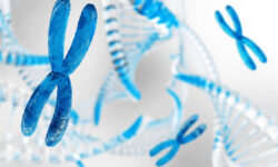 Университетский колледж Лондона раскрыл связь эстрогена с иммунитетом и аутоиммунными заболеваниями universitetskij kolledzh londona raskryl svyaz estrogena s immunitetom i autoimmunnymi zabolevaniyami-fabrec-ru-174293933500-0