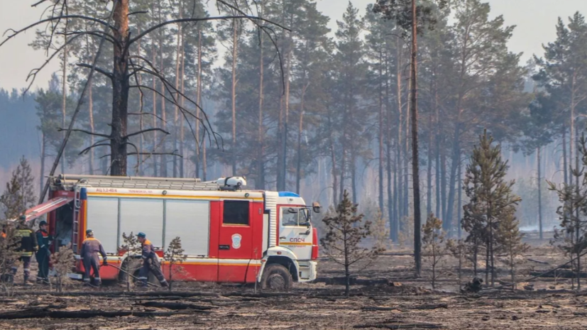 В Курганской областной думе инициатива по защите лесов от пожаров v kurganskoj oblastnoj dume inicziativa po zashhite lesov ot pozharov-fabrec-ru-174187654700-0
