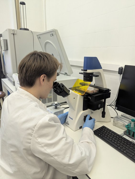 Вакцины от COVID-19 могут стать эффективнее благодаря ключевым пептидам Омикрона vakcziny ot 19 mogut stat effektivnee blagodarya klyuchevym peptidam omikrona-fabrec-ru-174186259600-0