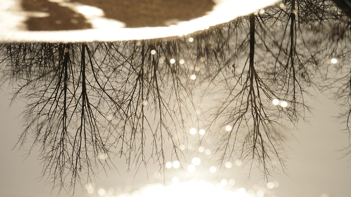 Весна задержится — погода в Москве в начале марта Лужи от таяния снегаПарк Братеевс