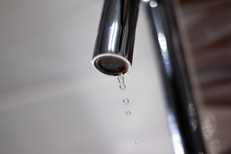 –Δ–Β–Φ–Α―²–Η―΅–Β―¹–Κ–Ψ–Β ―³–Ψ―²–Ψ –‰–Μ―¨―è –ê–≤–Β―Ä―¨―è–Ϋ–Ψ–≤, –‰–ê PrimaMedia.ru