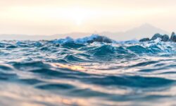 Житель Каннура преодолевает последствия укуса сома с надеждой на будущее zhitel kannura preodolevaet posledstviya ukusa soma s nadezhdoj na budushhee-fabrec-ru-174220207400-0