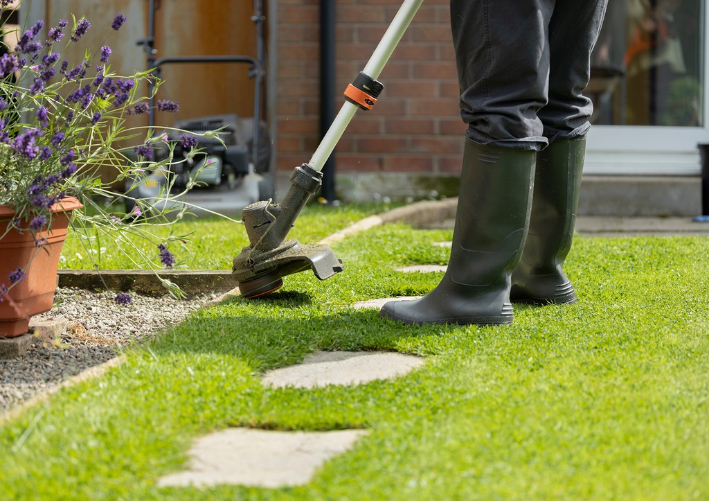 Агроном дал совет, как защитить дачный дом от разрушительного сорняка