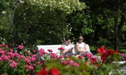 Майские торжества 2025 включают Бессмертный полк и парады majskie torzhestva 2025 vklyuchayut bessmertnyj polk i parady-fabrec-ru-174543112100-0