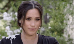 Меган Маркл и Принц Гарри начинают новый этап жизни с Арчи и Лилибет megan markl i princz garri nachinayut novyj etap zhizni s archi i lilibet-fabrec-ru-174599512100-0