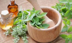 Мятное волшебство - натуральный уход для блеска и легкости волос myatnoe volshebstvo naturalnyj uhod dlya bleska i legkosti volos-fabrec-ru-174473664600-0