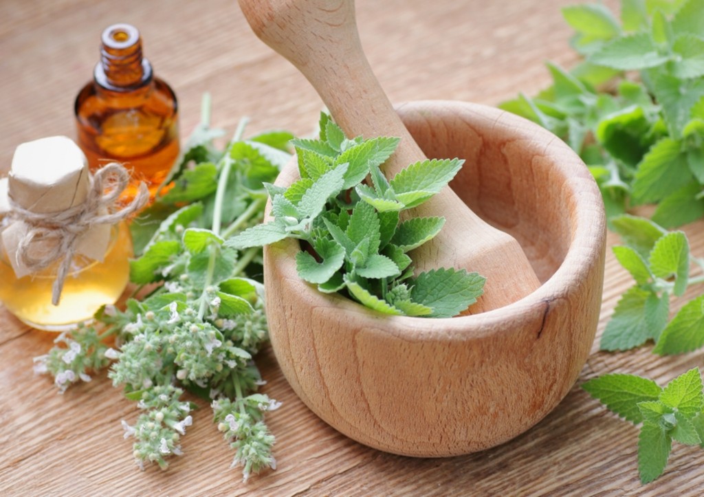 Мятная свежесть: как обычная трава преобразит ваши волосы