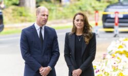 Принц Уильям и Кейт Миддлтон - новые горизонты королевской семьи princz uilyam i kejt middlton novye gorizonty korolevskoj semi-fabrec-ru-174490603800-0