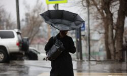solncze i veter vladivostok i luchegorsk poluchayut obnovlennyj prognoz-fabrec-ru-174472157100-0