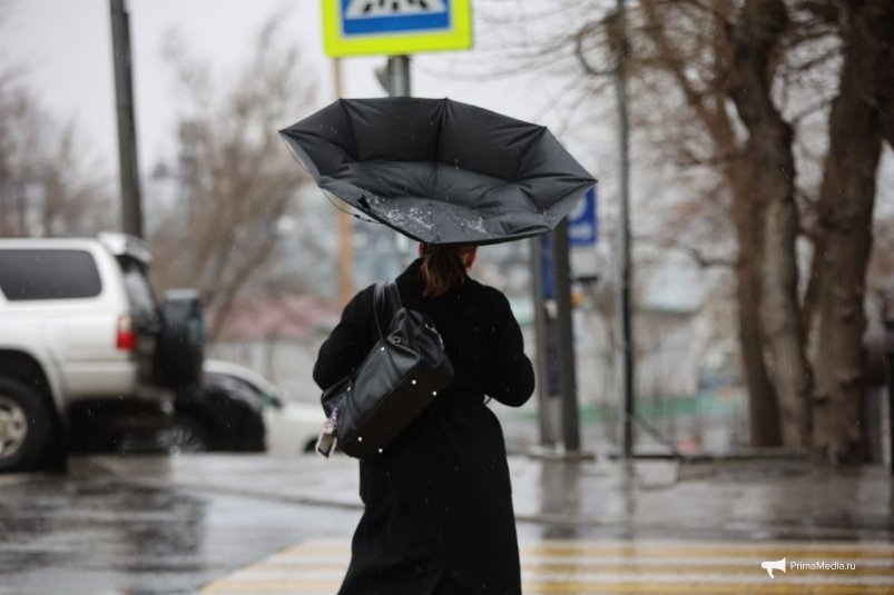 Порывы ветра во Владивостоке достигают 10 баллов Дмитрий Осипчук, ИА PrimaMedia