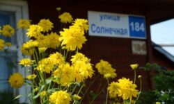 Свердловская область и Росреестр - рекорды по сельской ипотеке в УрФО sverdlovskaya oblast i rosreestr rekordy po selskoj ipoteke v urfo-fabrec-ru-174496195900-0