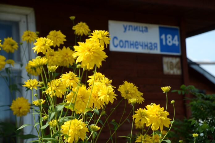 Свердловская область и Росреестр - рекорды по сельской ипотеке в УрФО-0