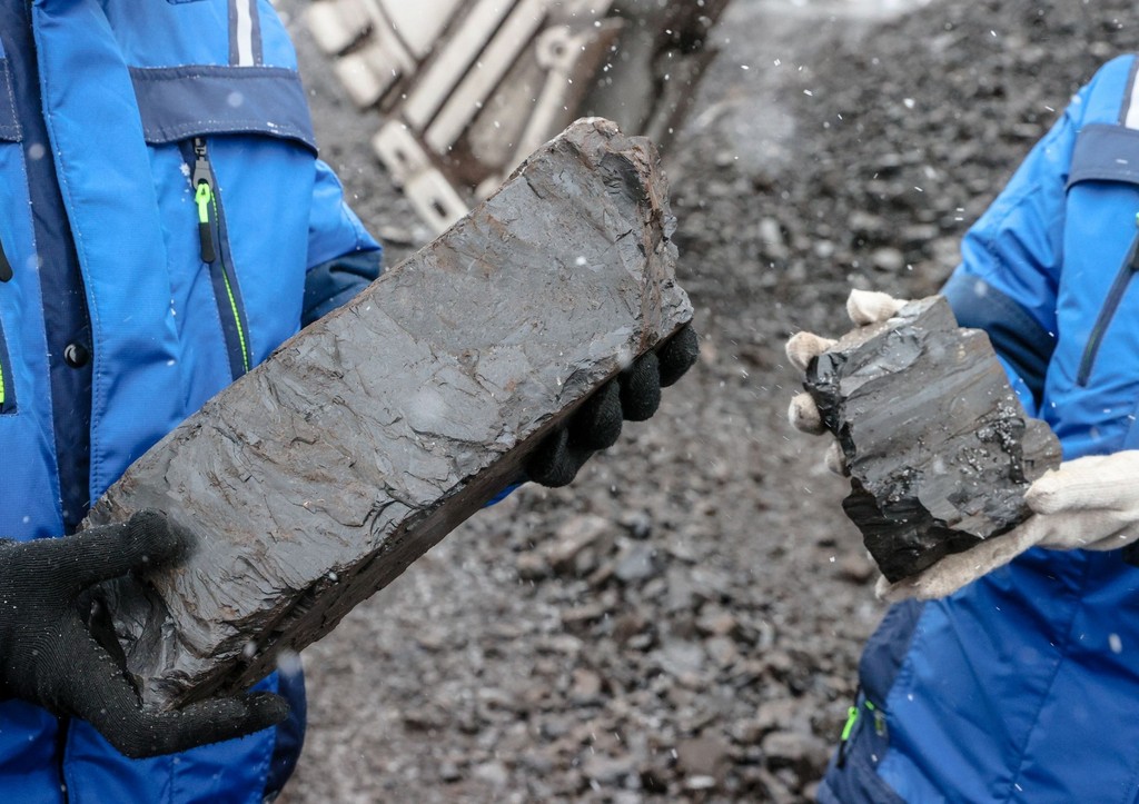 «Перешли на ветер»: Трамп высмеял «позеленение» Германии