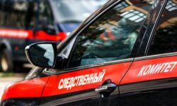 Виктор Коэн и Галина Колядзинская - новые детали дела и история мерча viktor koen i galina kolyadzinskaya novye detali dela i istoriya mercha-fabrec-ru-174463814200-0