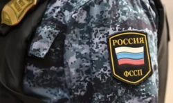 Александр Хаминский и Андрей Князев рассказали об обновлении мер ФССП по алиментам aleksandr haminskij i andrej knyazev rasskazali ob obnovlenii mer fssp po alimentam-fabrec-ru-174762392800-0