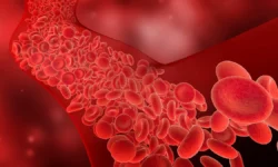 Андрей Кондрахин рассказывает о коагулограмме и ее роли в здоровье andrej kondrahin rasskazyvaet o koagulogramme i ee roli v zdorove-fabrec-ru-174766797100-0